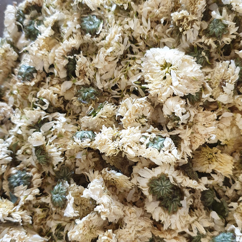 Chrysanthamum Flowers