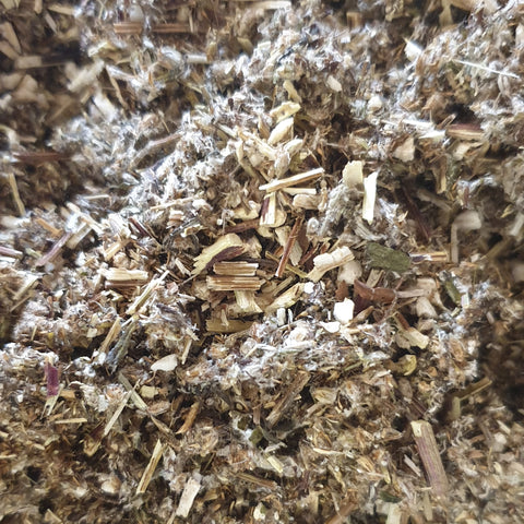 Wildcrafted Mugwort