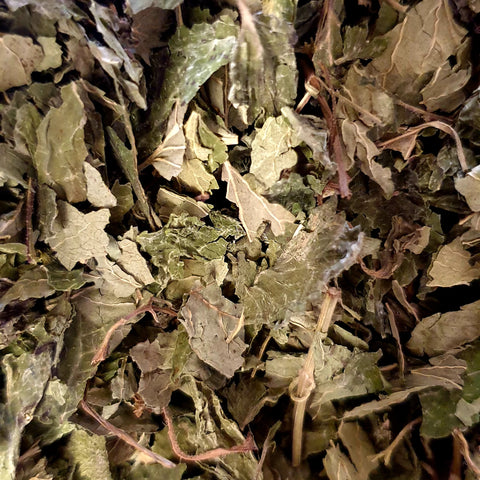 Organic Lemon Balm