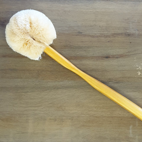 Long Handle Back Brush