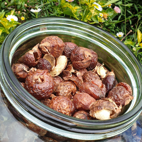 Organic Soap nuts