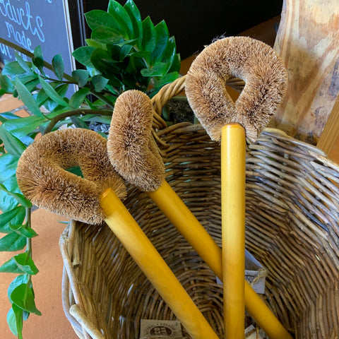 Toilet Brush