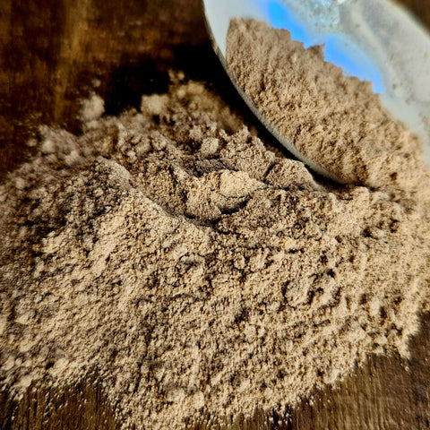 Organic Lions Maine Mushroom