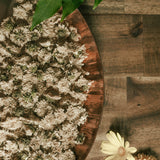 Chrysanthamum Flowers