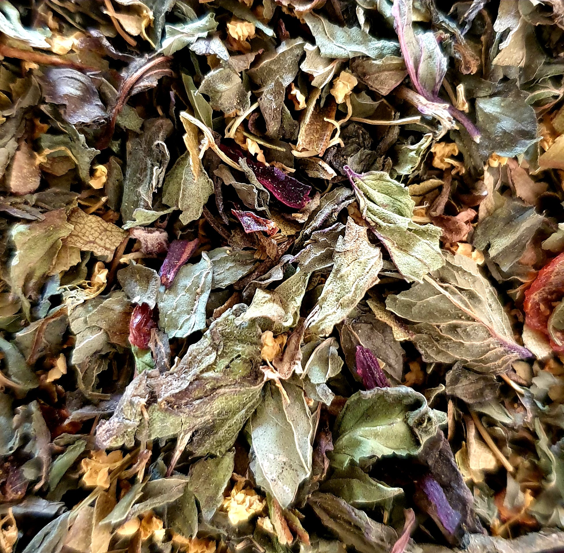 Misty Ridge Tea Organic Misty Ridge – WitchScents Organics