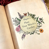 The Green Witch's Garden