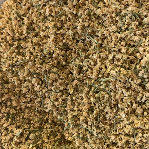 Elderflower